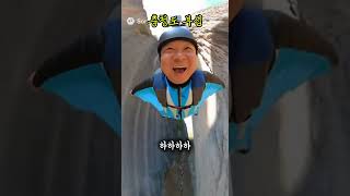 충청도 부심#패러디#윙슈트