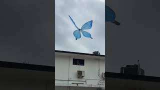 Bionic Butterfly 🦋🦋🦋