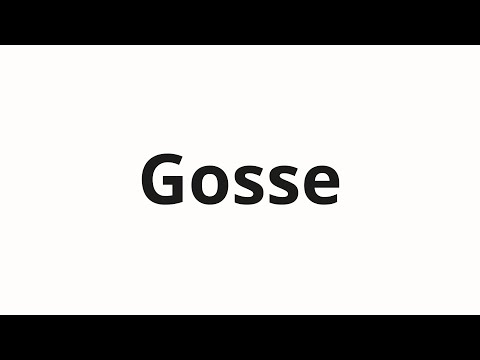 How to pronounce Gosse