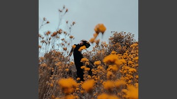 Bled (feat. Matt McJunkins)