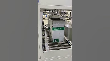 Automatic food bag placing into box machine bag inserting carton box machine