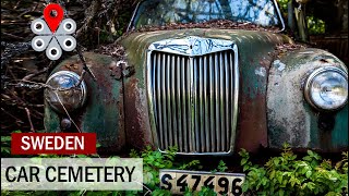 Car Cemetery. Sweden, Båstnäs. Sweden&#39;s classic car graveyard.