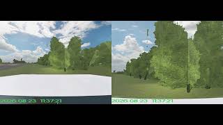 Car crashes into trees?? (PICT1445 20260823)