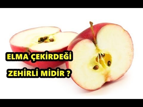 Elma Çekirdeği Zehirli midir ?