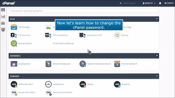 cPanel: How to Change Your Password
