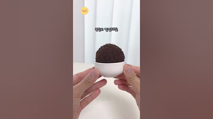 다이소 흙으로 도로당고를 만들면?