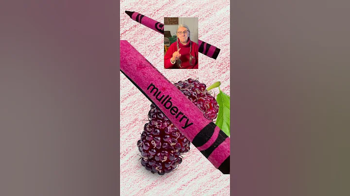 CRAYOLA CRAYONS: BIG NEWS! Retired Crayons will be released in a LIMITED EDITION in 2025!