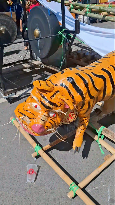 ogoh ogoh harimau berulah lagi 😾 #ogohogoh #karnaval #karnavallucu #beranda #automobile
