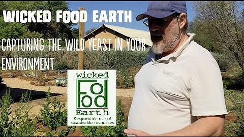 Wicked Food Earth: It