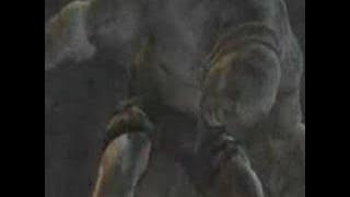 BioHazard 4 - Nightwish