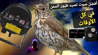 أفضل صوت لصيد طيور السمن 2022 ، Best sound for Alsommon hunting