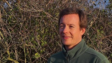 JPR Environmental - Newt Fencing