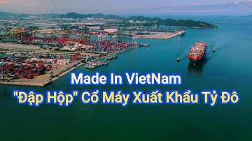 Từ Sầu Riêng Đến Chip, Đất Hiếm: Khám Phá Cỗ Máy Xuất Khẩu Tỷ Đô Của Việt Nam