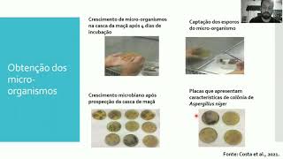 Enzimas pectinases