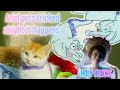 HOLY REACTS: Disney&#39;s The Little Mermaid (Cute Kitten Version)