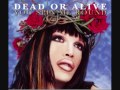 Dead Or Alive - You Spin Me Right Round