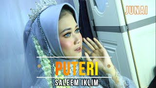 Puteri - Saleem Iklim - Cover By Junai