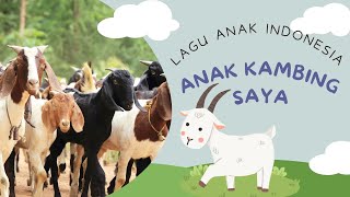 LAGU ANAK KAMBING SAYA NO COPYRIGHT I LAGU ANAK INDONESIA