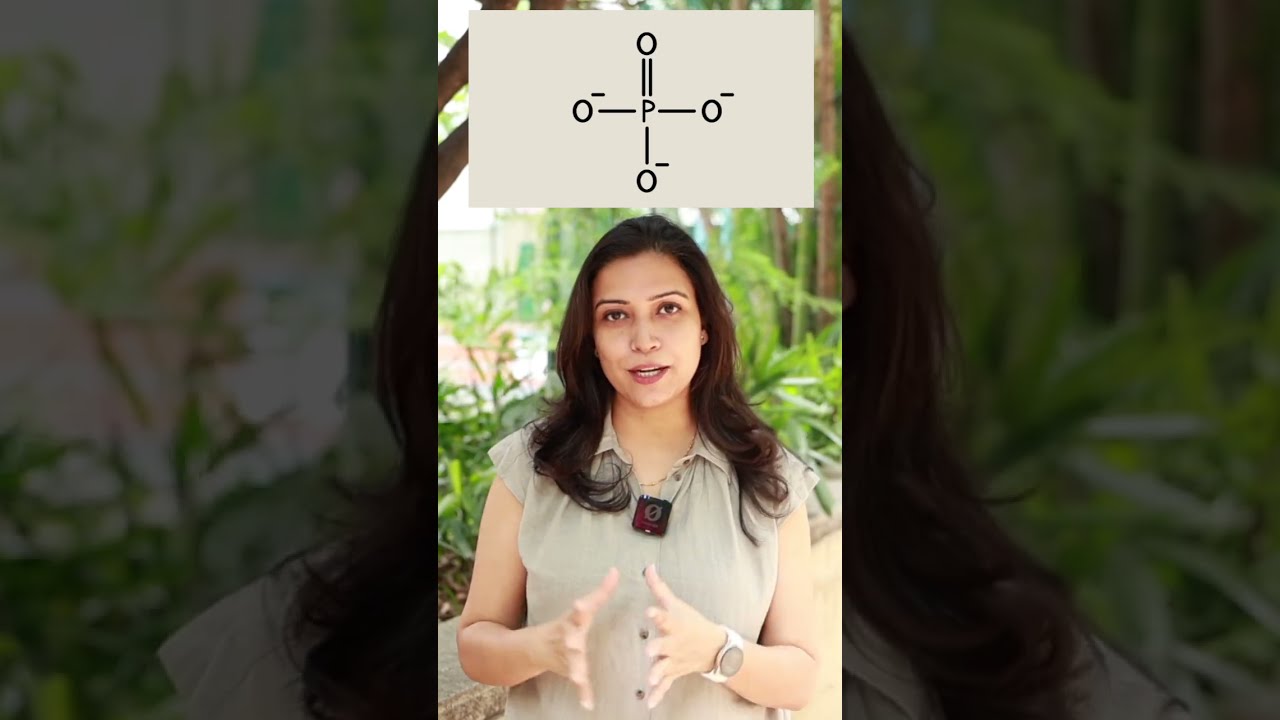 What Makes DNA Negatively Charged Dnastructure Dna