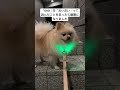 「OIOI」を「おいおい」って読んだことを笑ったら喧嘩になりました