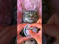 That's How Your Cat Wants to Be Treated #petcare #catspa #satisfying