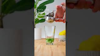 Southside - The 2nd best way to use Mint in a cocktail! screenshot 1