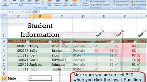 06 - Excel Sorting, Filters, and Advanced Functions.mp4