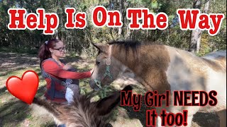 Two Ladies and A Baby Came To Help My Horse