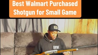 Best Walmart Purchased Shotgun for Small Game Hunting