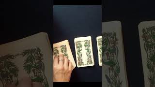 This Card Reveals Whats Next #SuryaTarot #tarot #tarotreading #tarotcards #tarotmessage #alkemystica