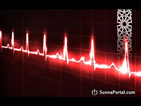 Шейх Фаузан о любви и ненависти ради Аллаха