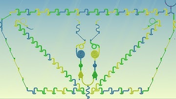 Incredi Marble Run Race Relax Game ASRM #65 - The Beauty of Love