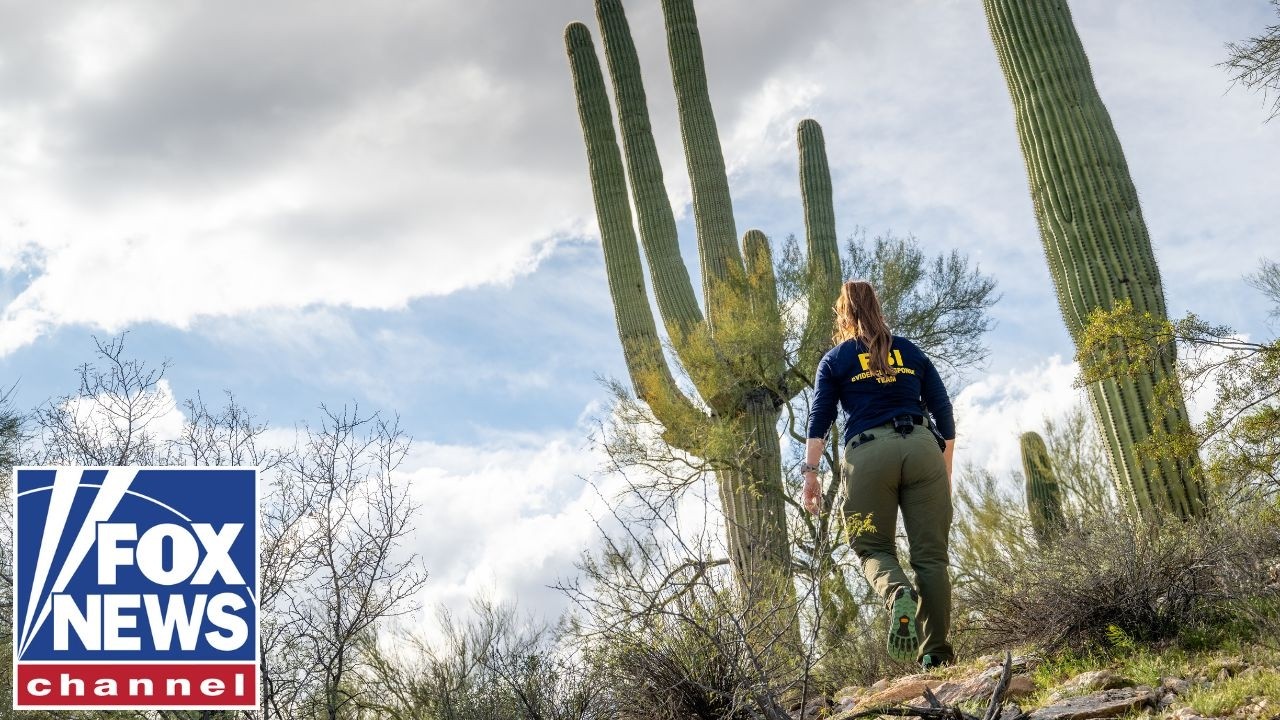 The desert terrain is ‘VERY dense' in Guthrie search, former FBI agent warns