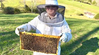 Introducing my nephew to beekeeping. by Ryan Grady 195 views 1 year ago 12 minutes, 52 seconds