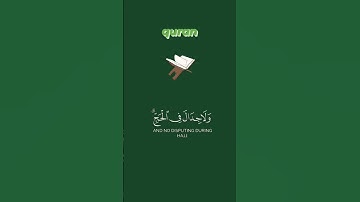 #سورة_البقرة|| الآية 197 ||#quran #explore #instagram #beautiful #reels #cute #beauty #اكسبلور