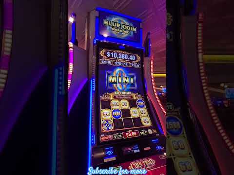 Casinos in Goa #goa #casino #world #party #roulette Like, subscribe and share for more content.