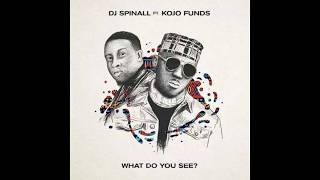 DJ Spinal (Ft Kojo Funds) What Do You See