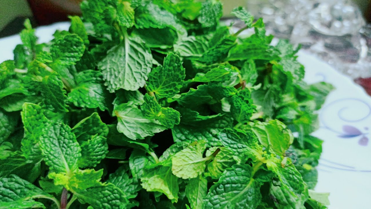 Pudina Unique Chutney/Summer Special Chutney Recipe/Quick Mint Chutney