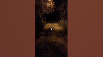 👁️☁️Dreamcore/Weirdcore/Traumacore/Nostalgiacore liminal spaces all in one video (pt.1) #shorts