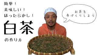 お茶を手作りしよう【白茶編】～簡単で美味しい作り方です