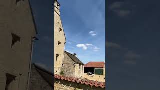 Isaac Newton's House and Original Apple Tree