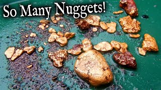 Finding Multiple Gold Nuggets at the Dream Claim!