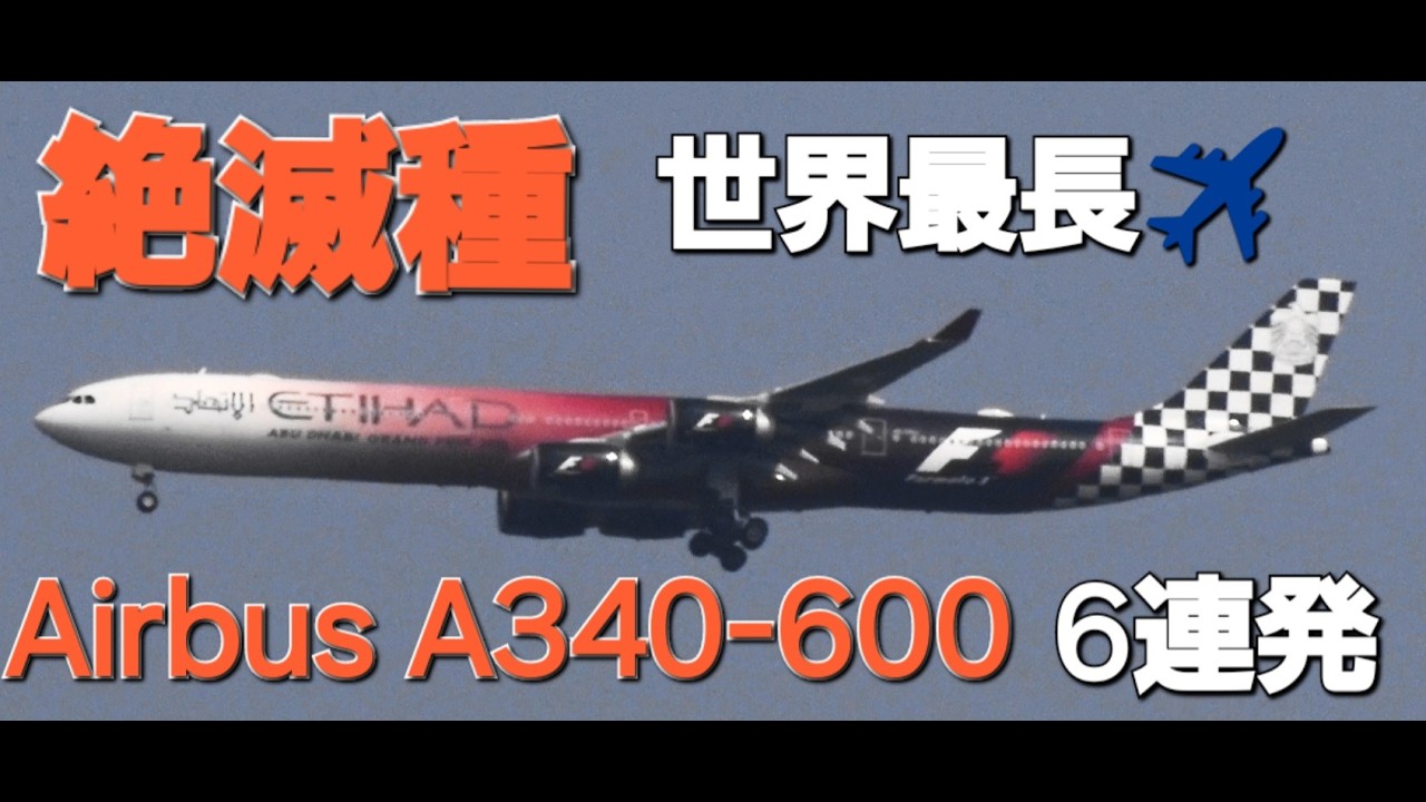 ✈✈RJAA成田空港 絶滅種 世界最長Airbus A340 600六連発タイ国際航空