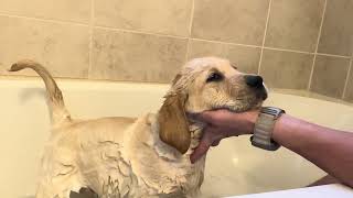 Mikko’s first bath