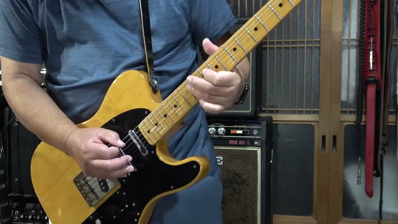kissy's Guitar Collections】魔改造！Fernandes FTE 60N 1974年