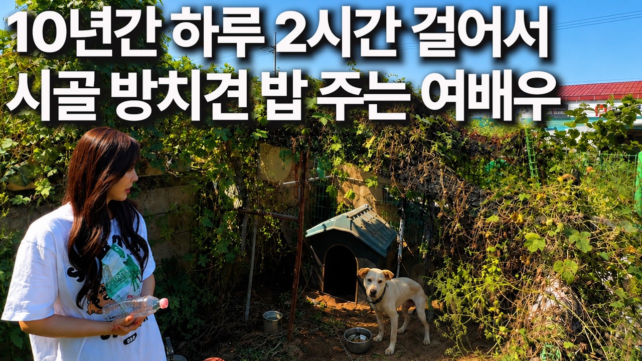 여배우가 매달 사료 100kg씩 후원하는 이유