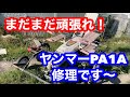まだまだ頑張れ!ヤンマー野菜苗全自動移植機PA1A修理とテレビ出演告知