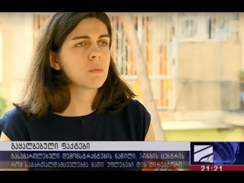 20 ივნისის მოვლენების შეფასება - სოფო ვერძეული