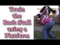 Train the Back Stall: Disc Dogging - Using a Platform Train the Back Stall: Disc Dogging - Using a Platform