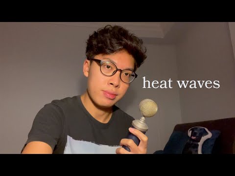 Glass Animals - Heat Waves (but it's sadder and slower)